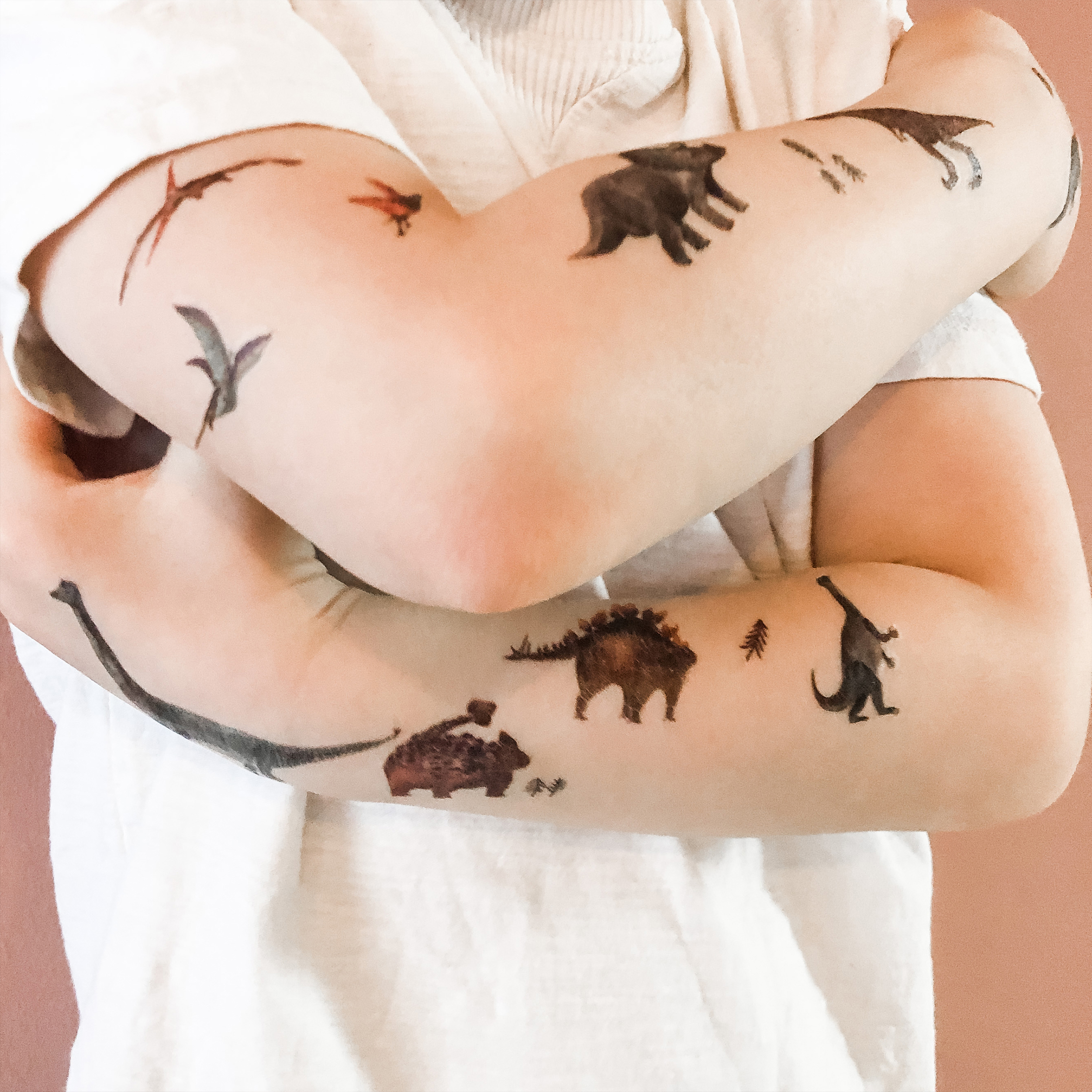 Nachhaltige Kindertattoos “ Dinosaurier” | Bio Tattoos für Kinder mit den Motiven Triceratops, T-Rex, vegan