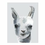 Poster “Lama” | A4 – Bild 2
