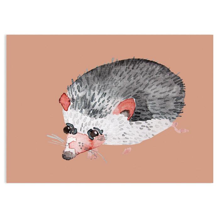 hedgehog postcard XS 2