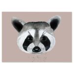 raccoon postcard XS 2