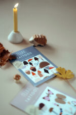 nuukk Bio Kindertattoos / Tattoos, vegan, Motive: Igel, Pilze, Eichel, Drache, Herbstliche Geschenke, Herbst