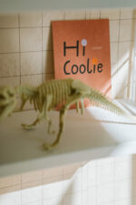 Postkarten von Anna Katharina Jansen auf dicke Holzschliffpappe gedruckt. Motive: Hi Coolie