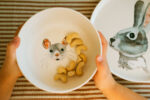 Kindergeschirr aus rPET, recyceltes Plastik, LFGB, EU Standards, Kindertasse, Kinderbecher, Kinderteller, Kinderteller mit Hase, Frühstückstisch, Kinderschüssel, Kinderschälchen mit Maus-Motiv